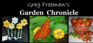 Greg Freeman's Garden Chronicle